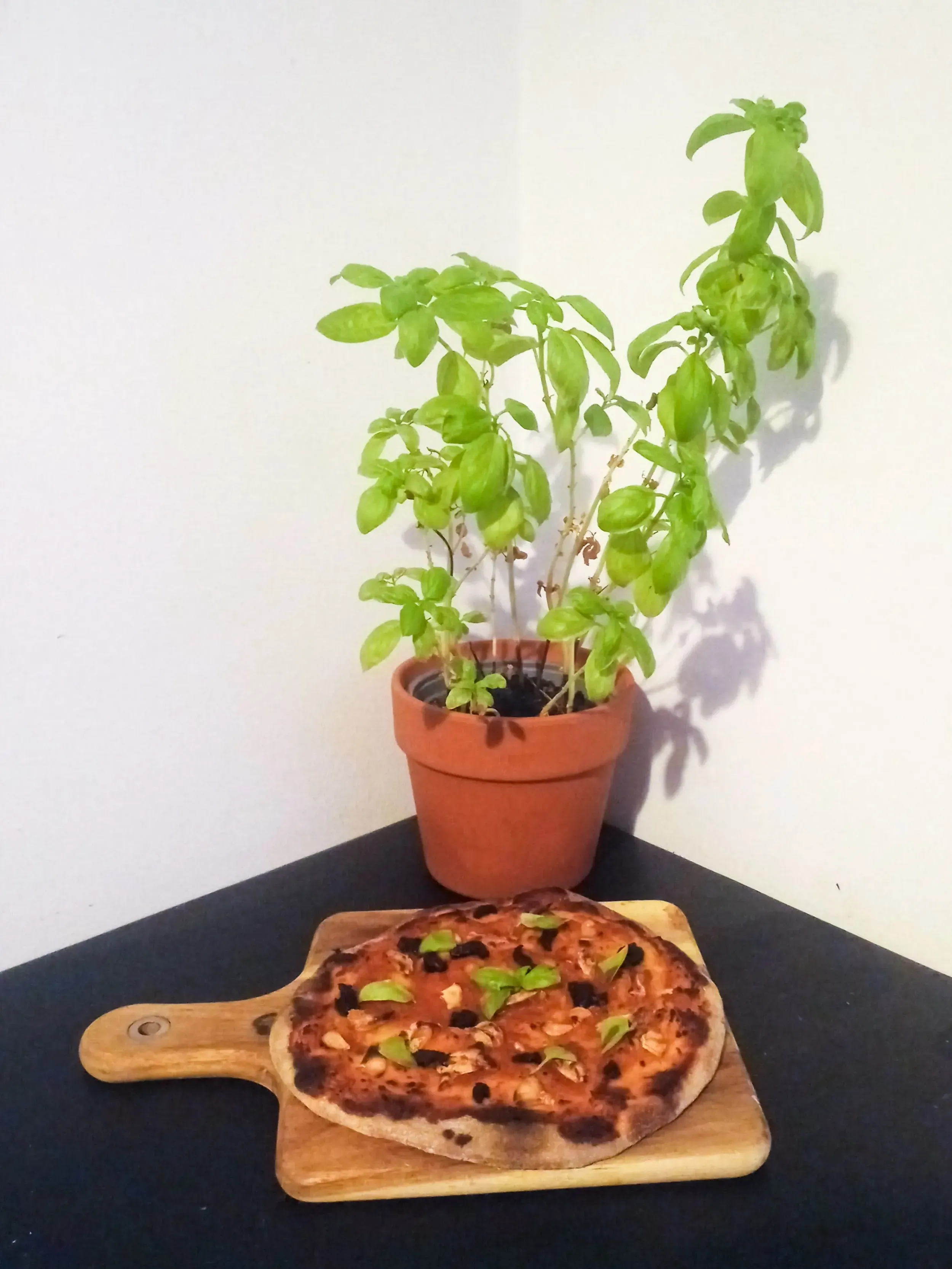 marinara quattro aglio pizza