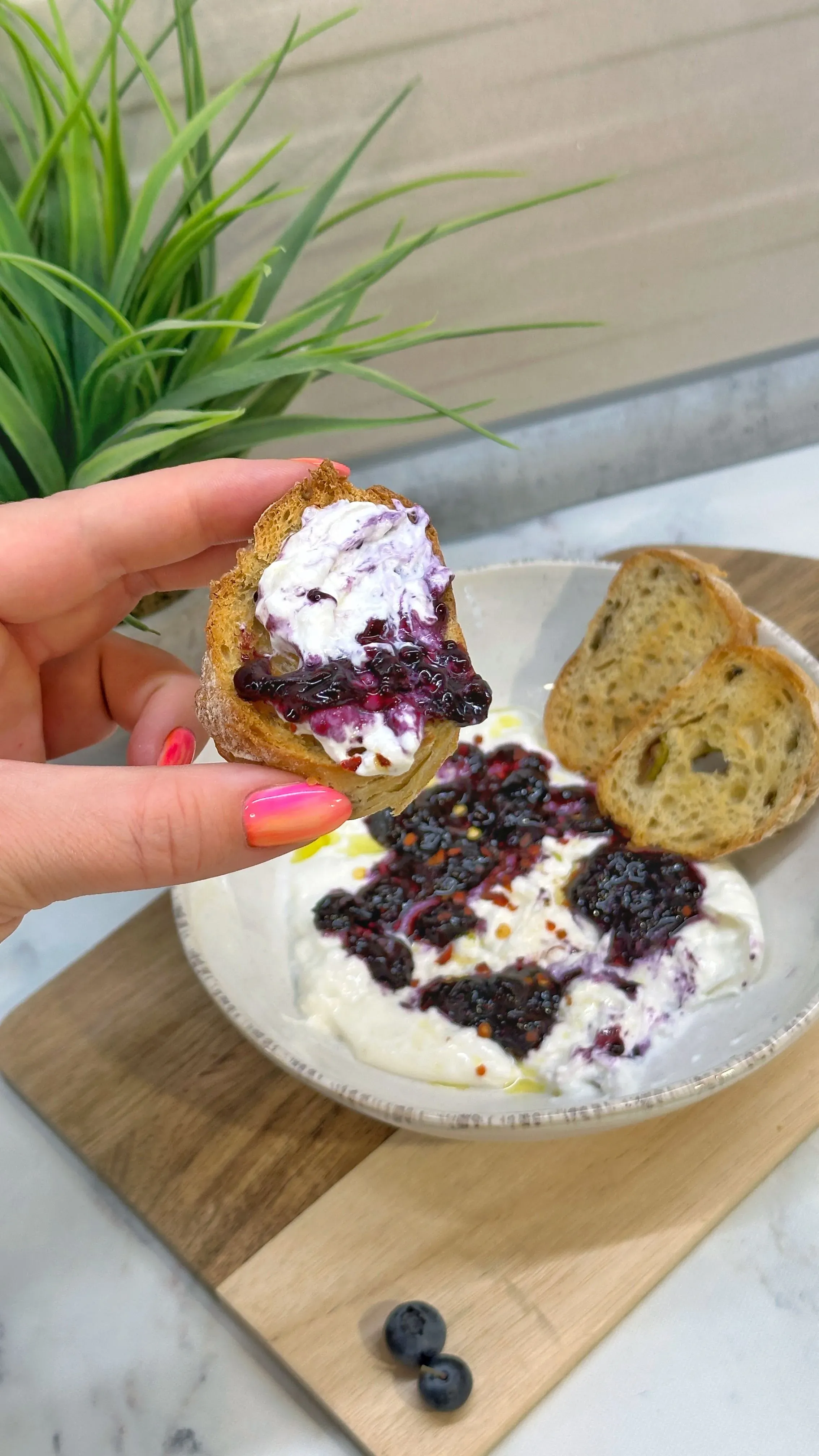 burrata házi áfonyalekvárral