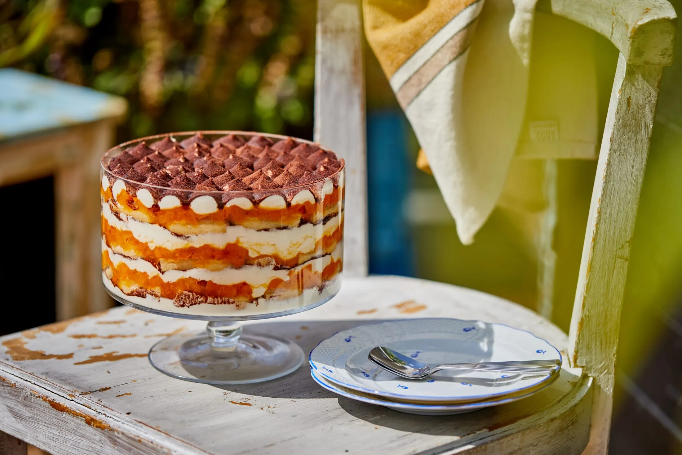 barackos-tiramisu-1