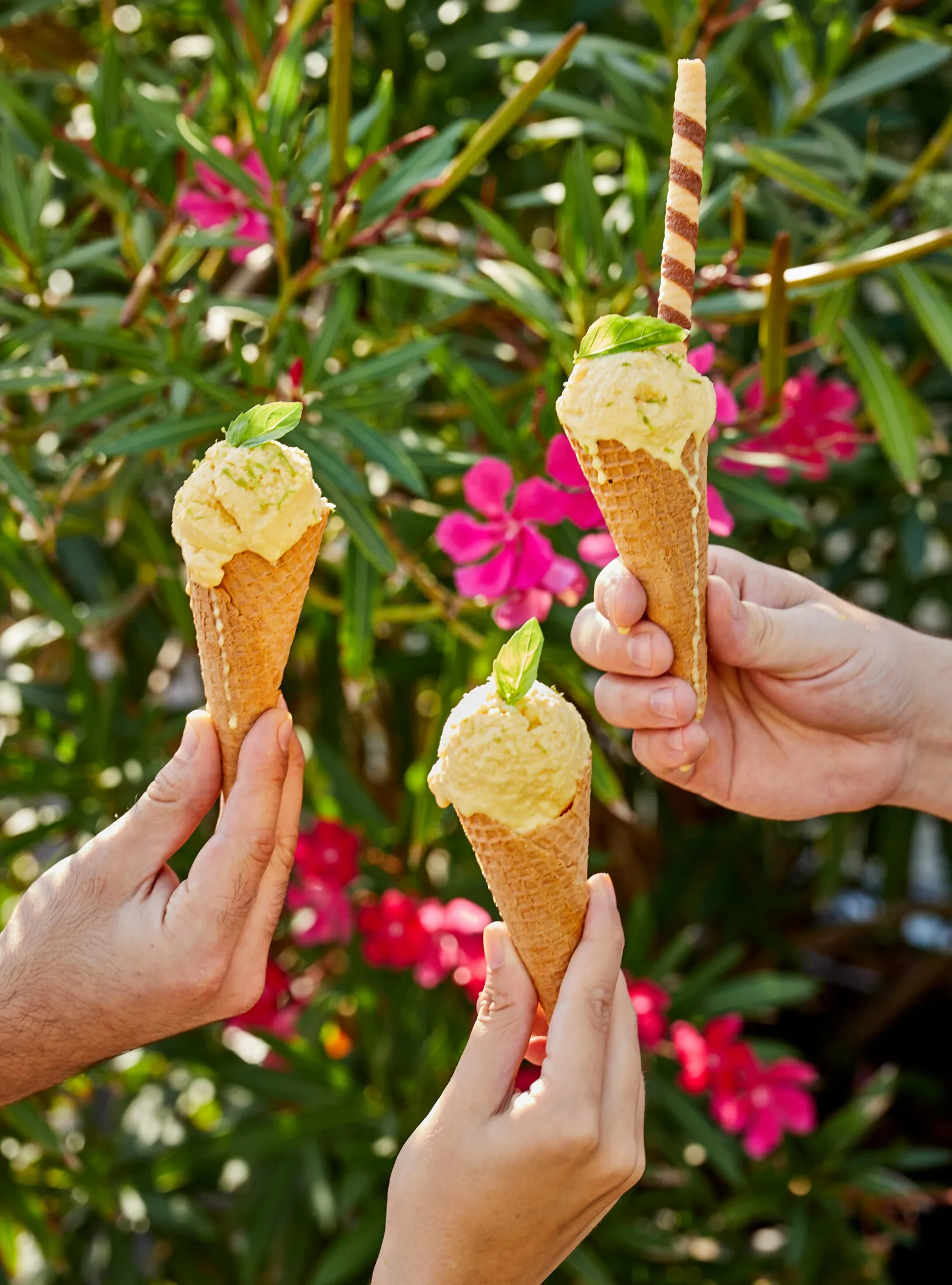 Bazsalikomos sárgadinnyefagyi