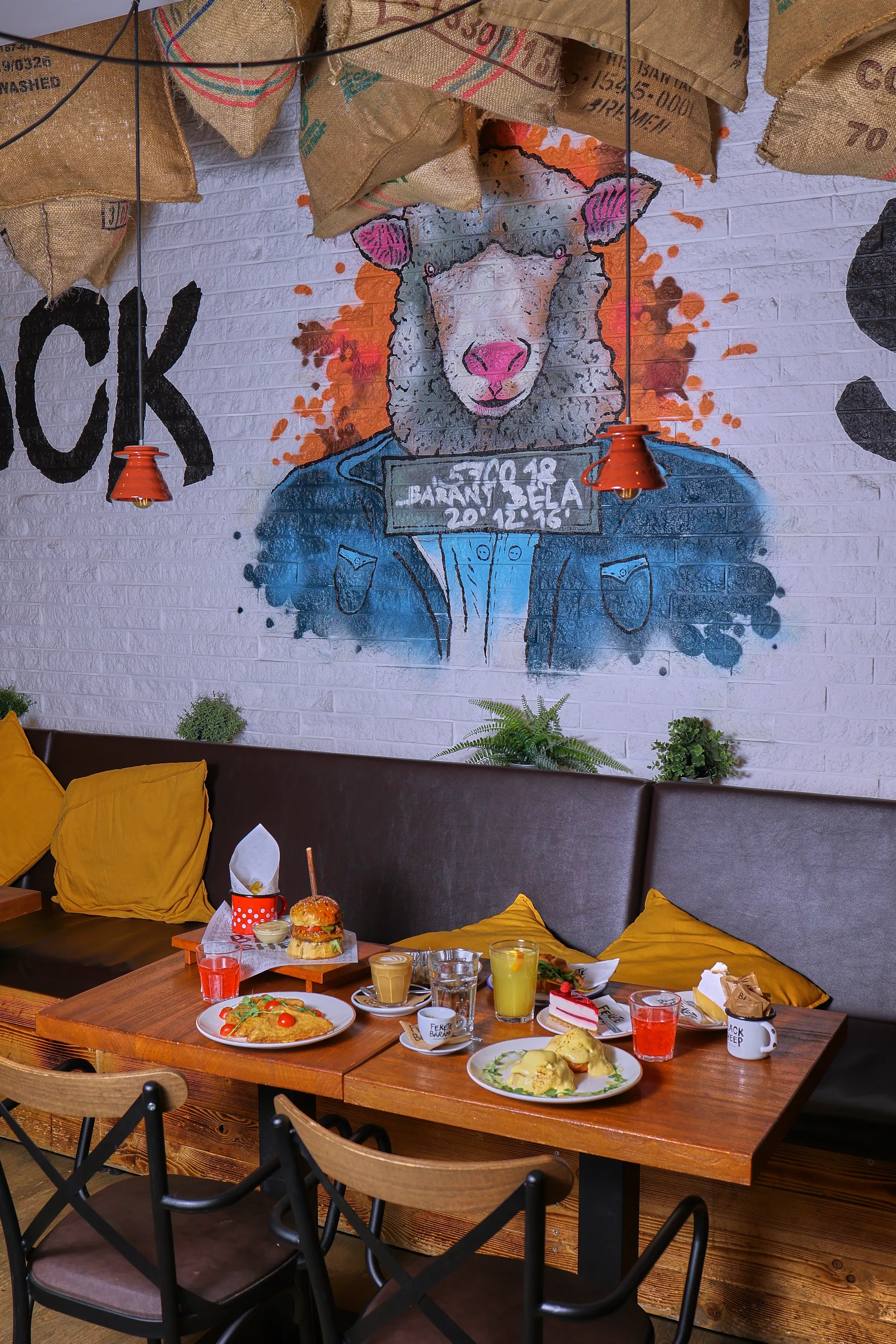 black-sheep_1