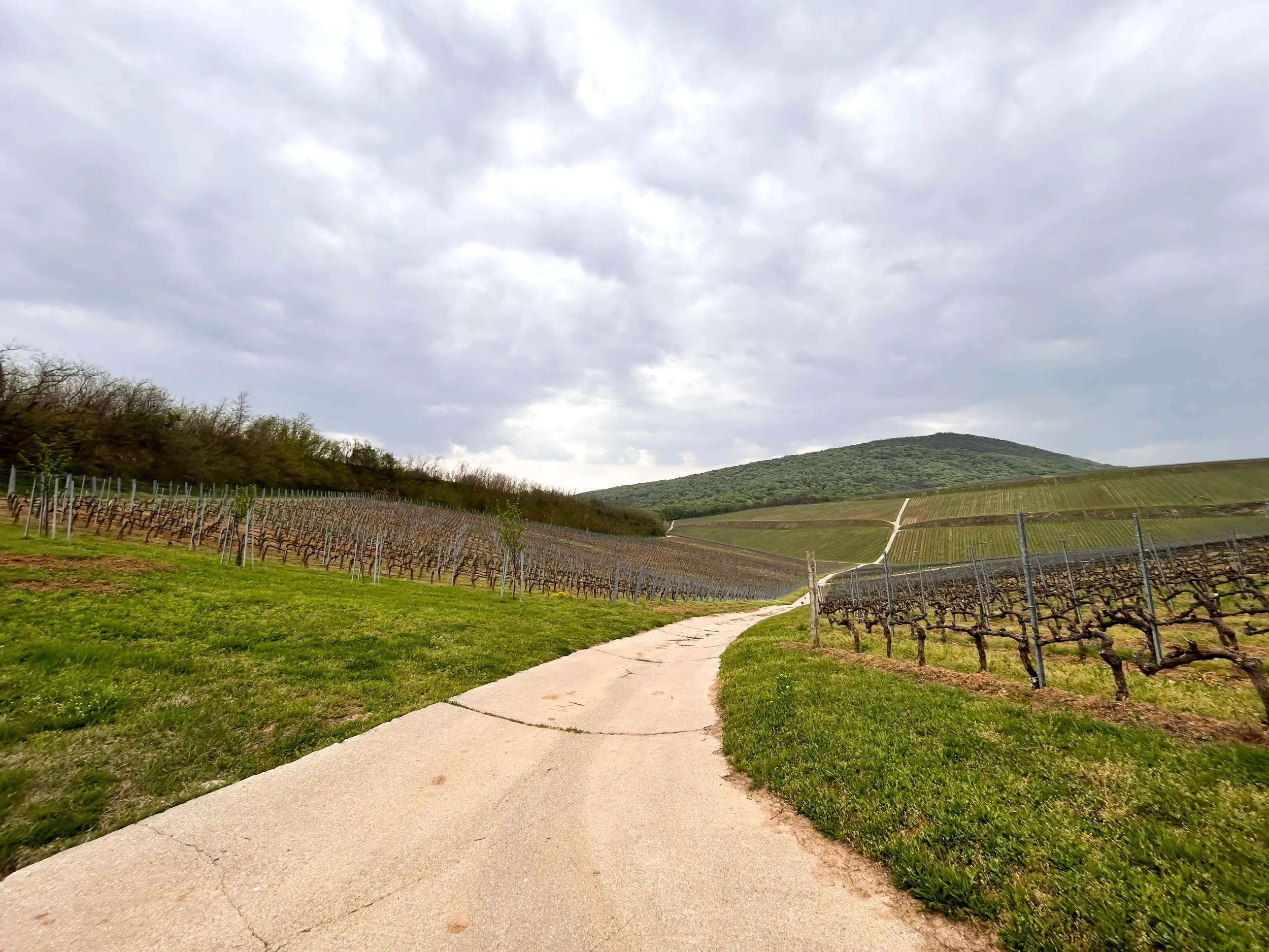 bock-etterem-villany
