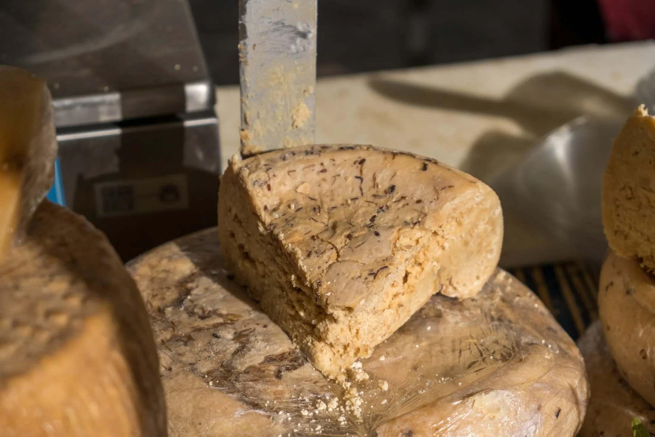 casu-marzu-sajt