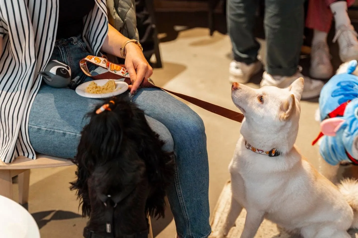 dogbakery1
