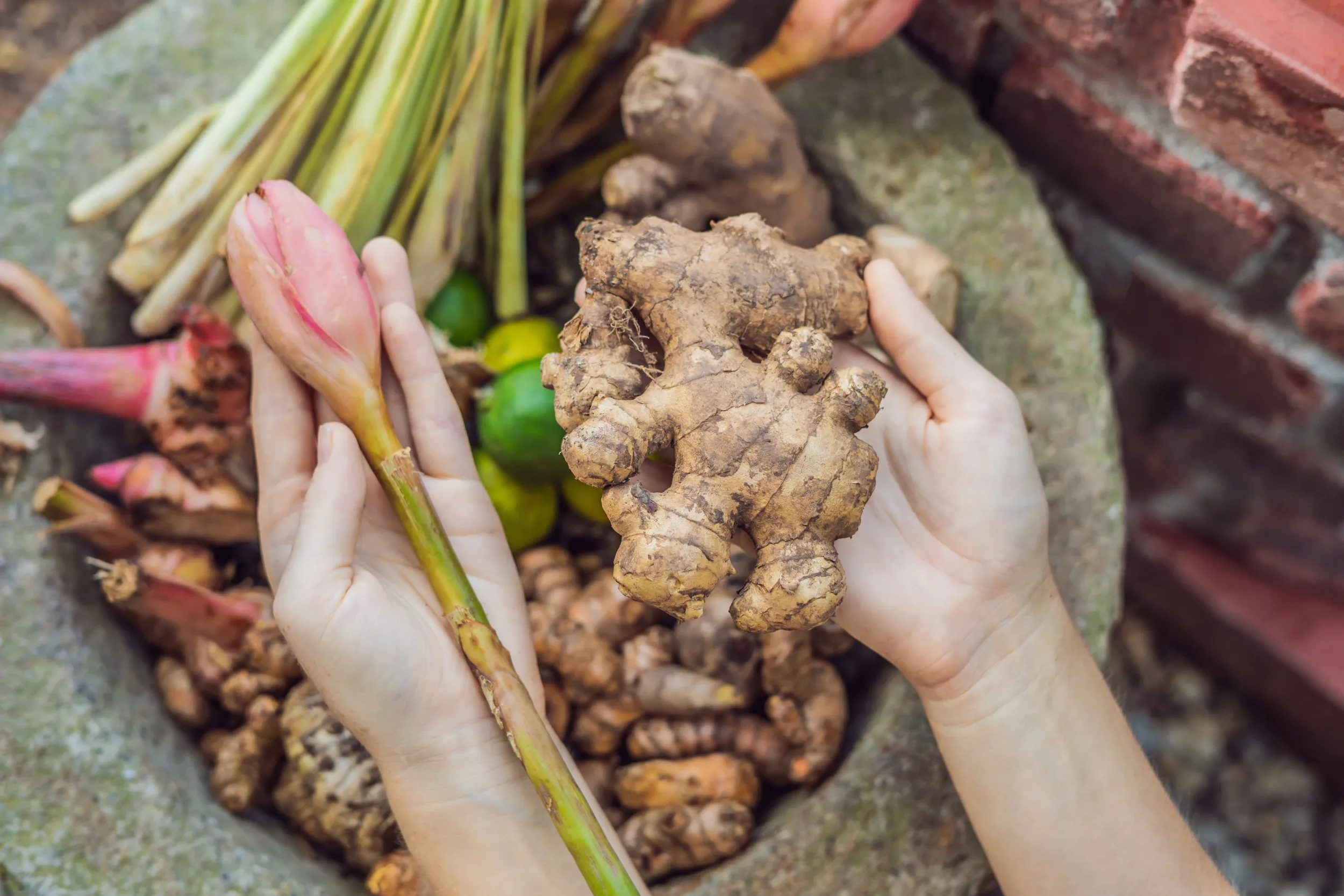ginger-pink-ginger-female-hands-background-spices