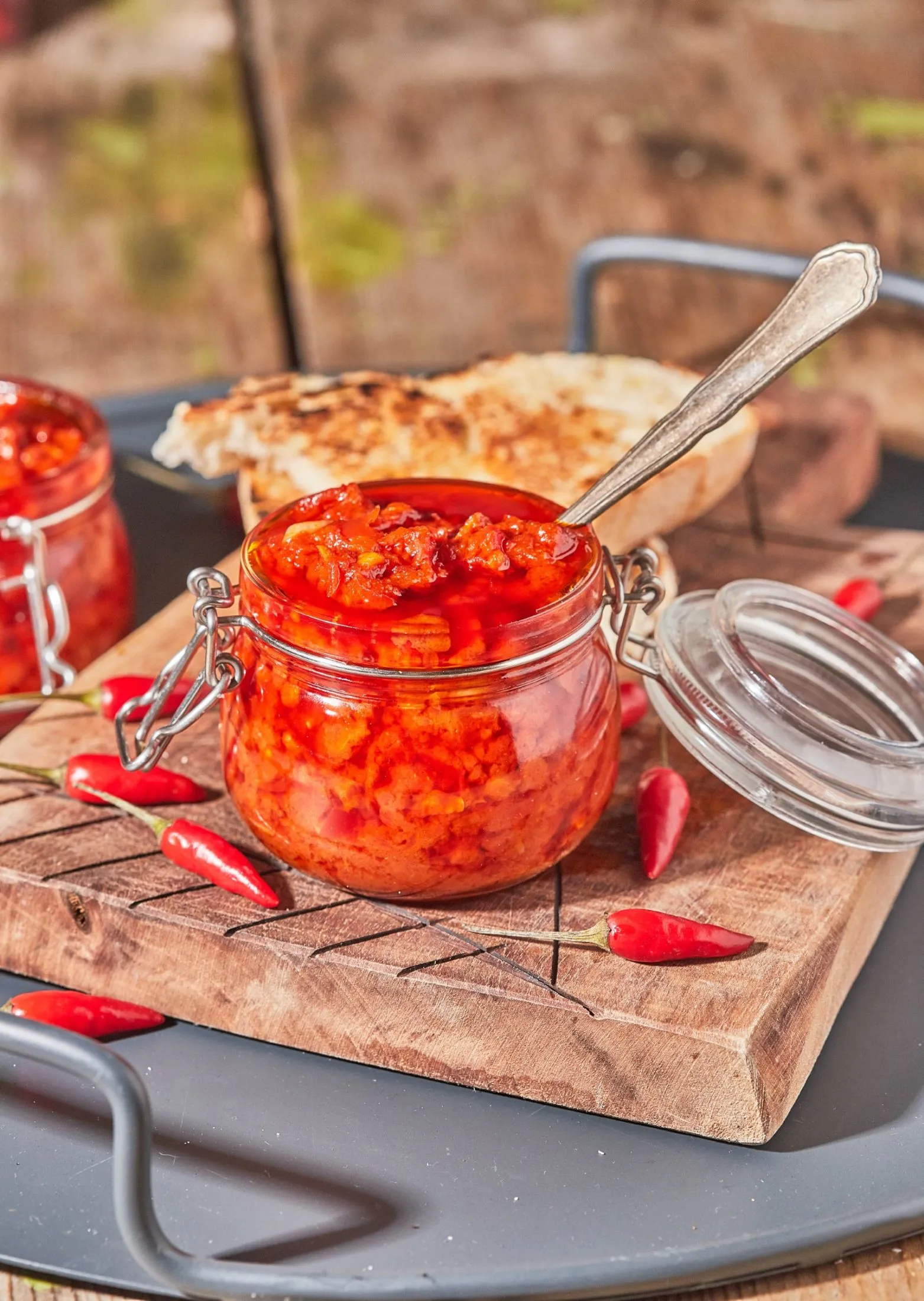 hazi-harissa-paszta