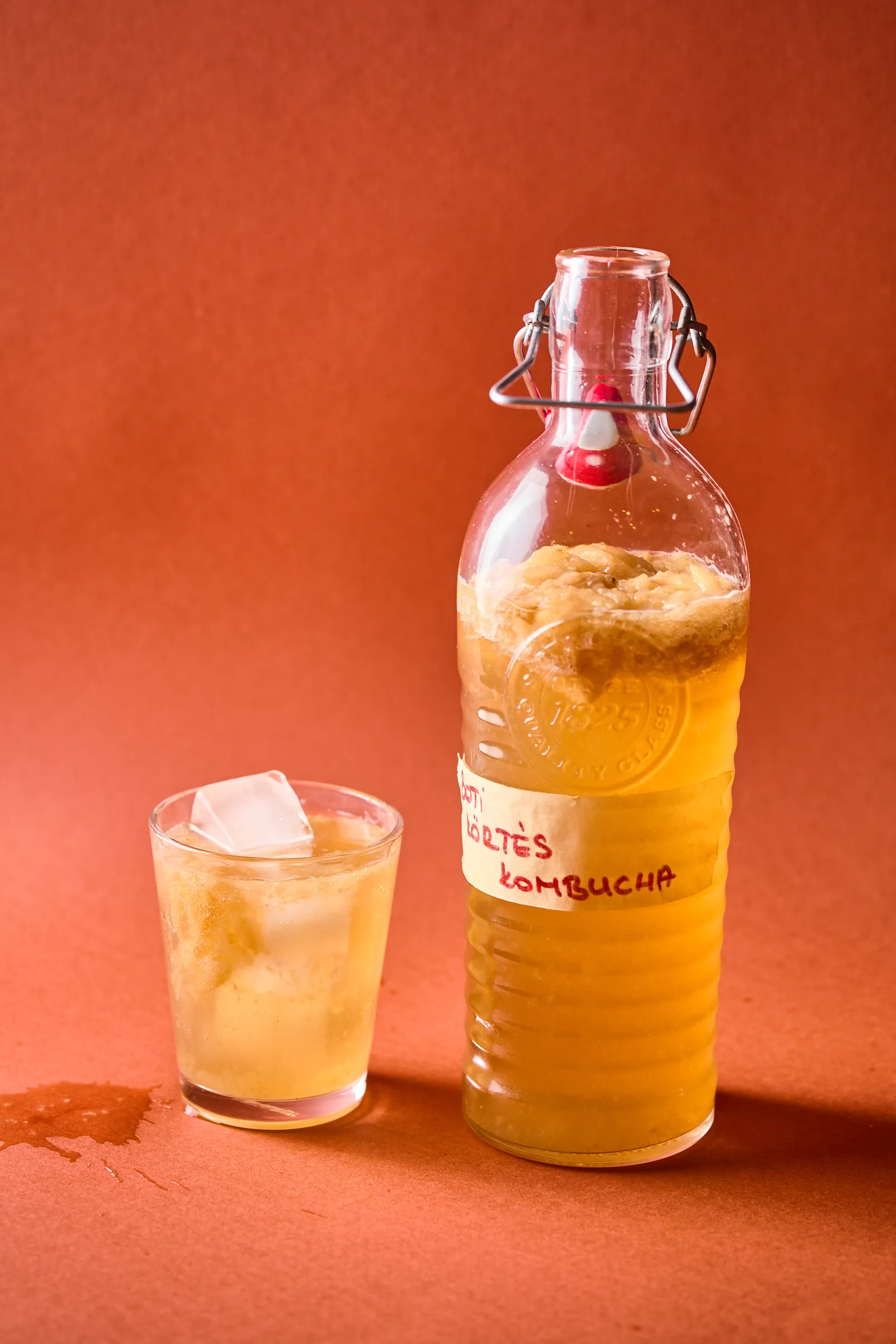 hazi-kombucha-3