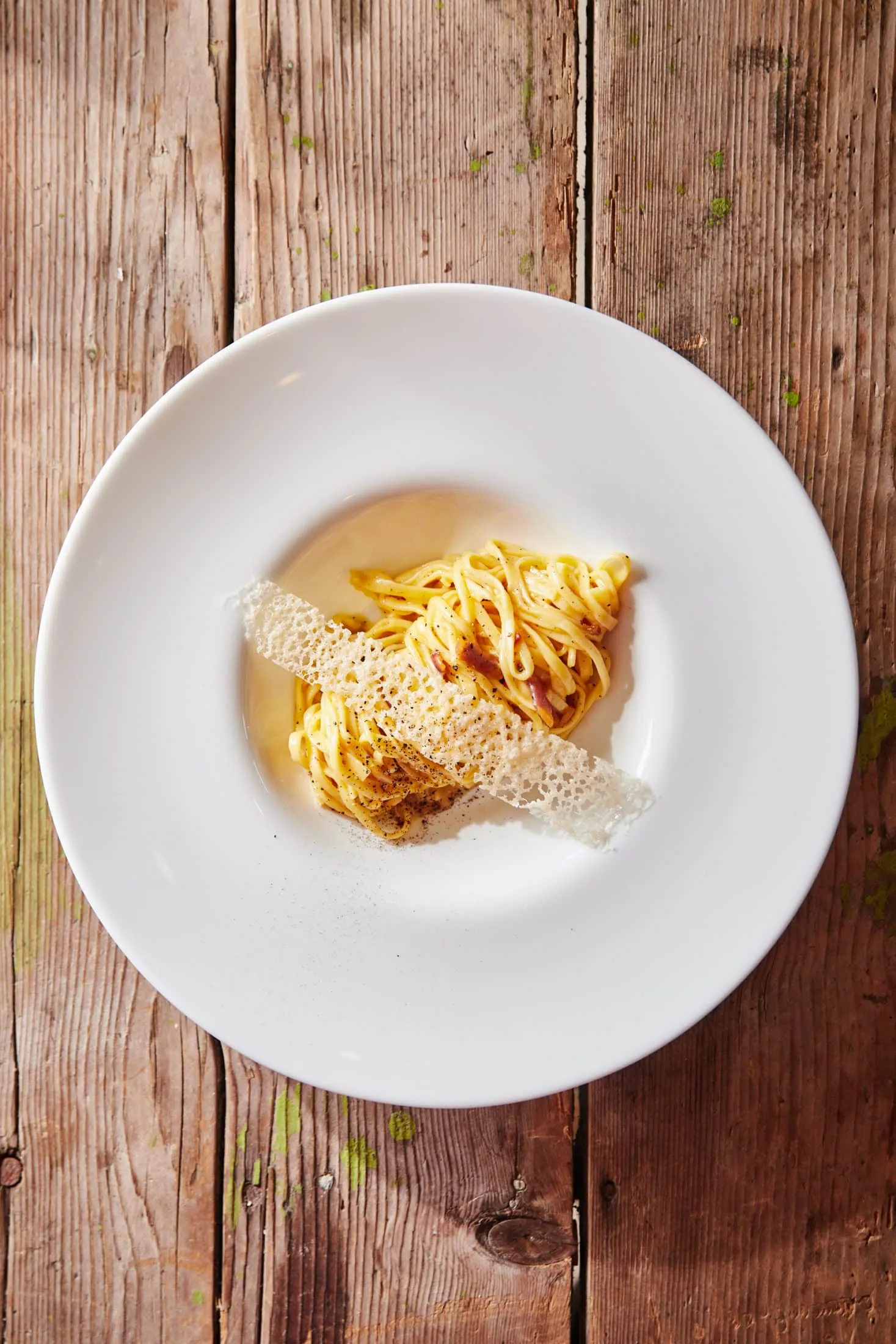hazi-tesztas-carbonara