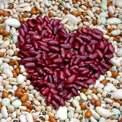 legumes-400x400.jpg
