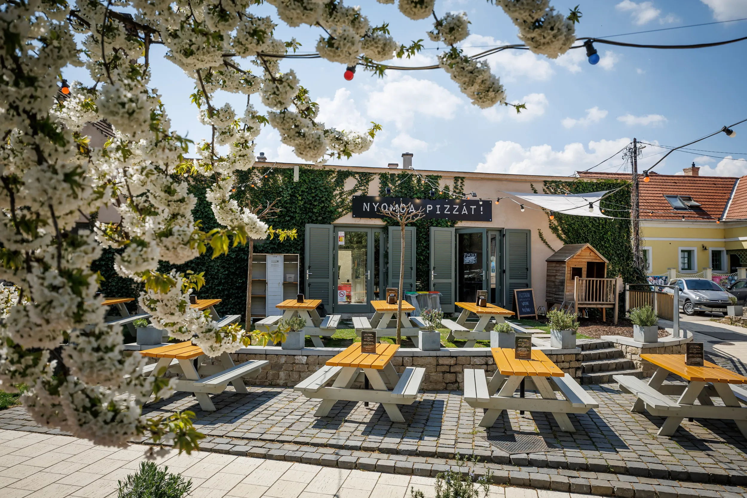 nyomda pizzát veszprém