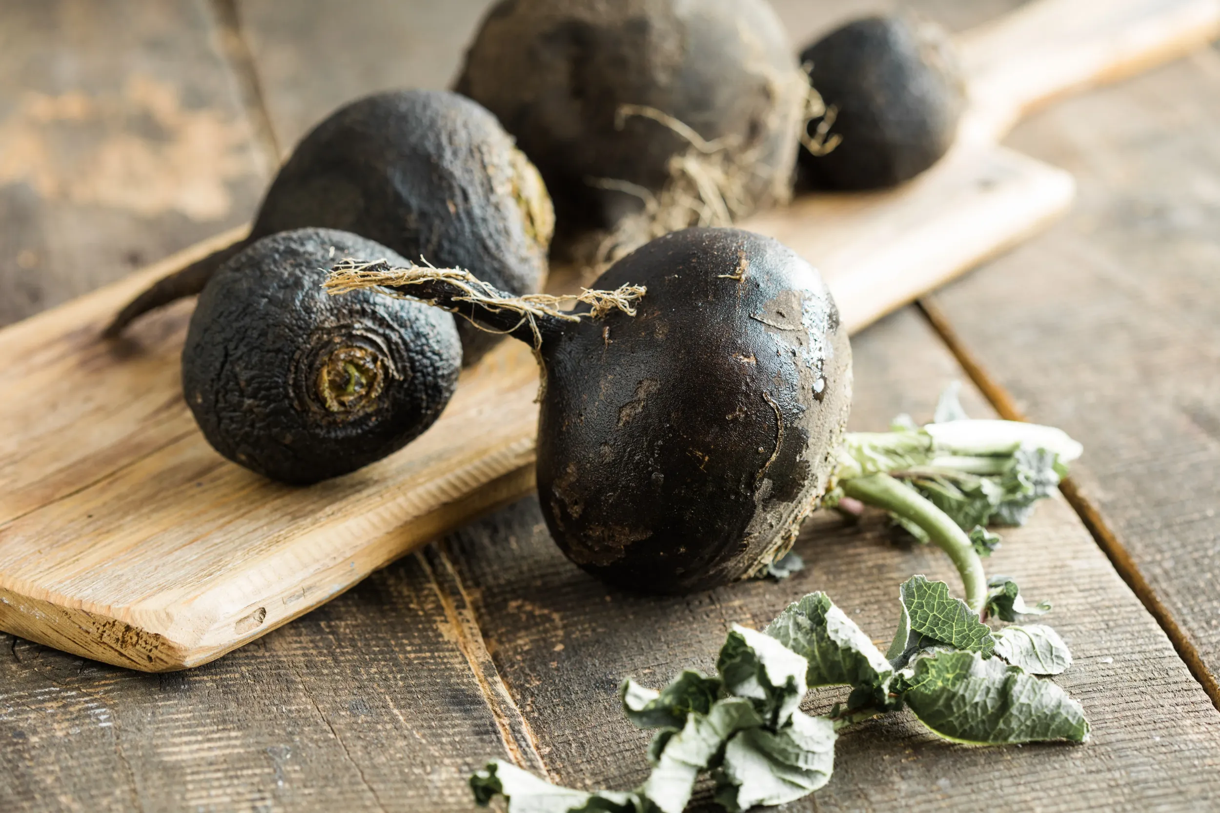 organic-raw-black-radish-with-honey-wooden-table-homemade-cough-medicine-folk-remedy-immunity