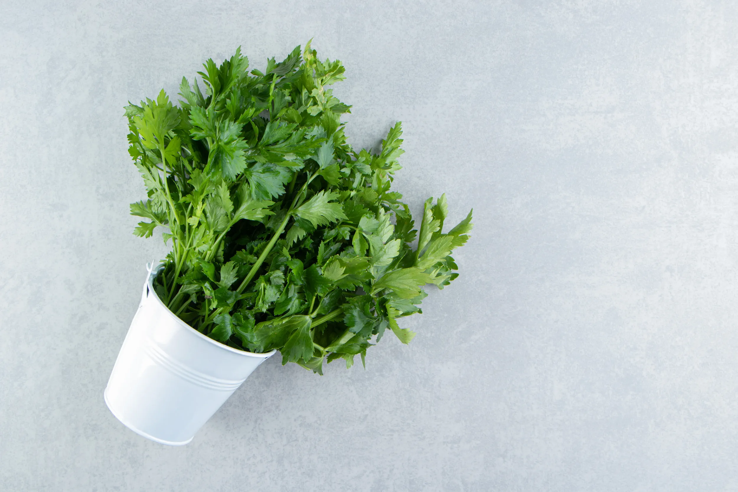 parsley-white-bucket-marble