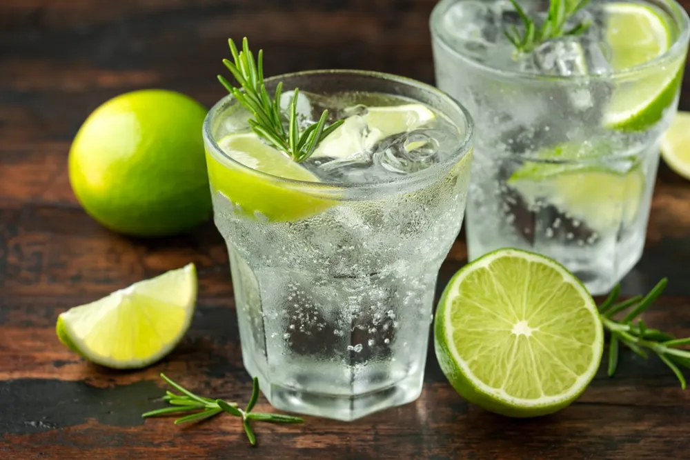 gin tonik shutterstock