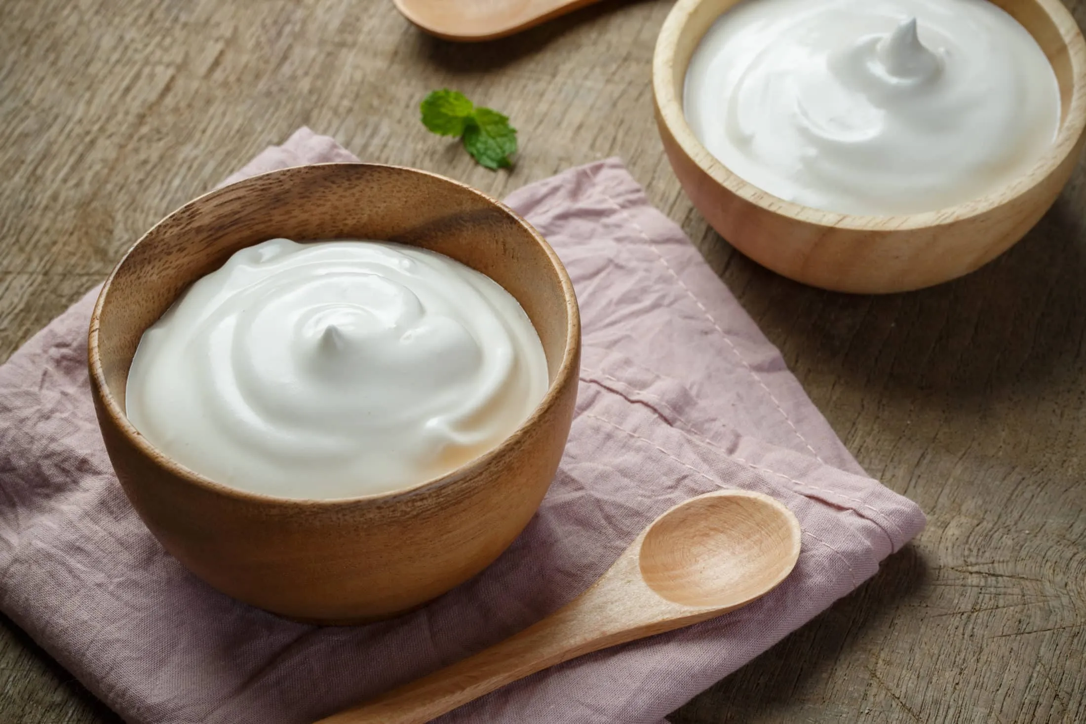 joghurt-probiotikum