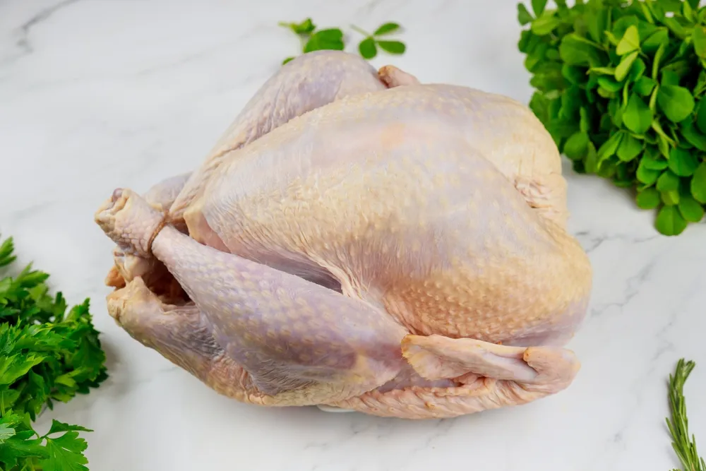 shutterstock_2379505745