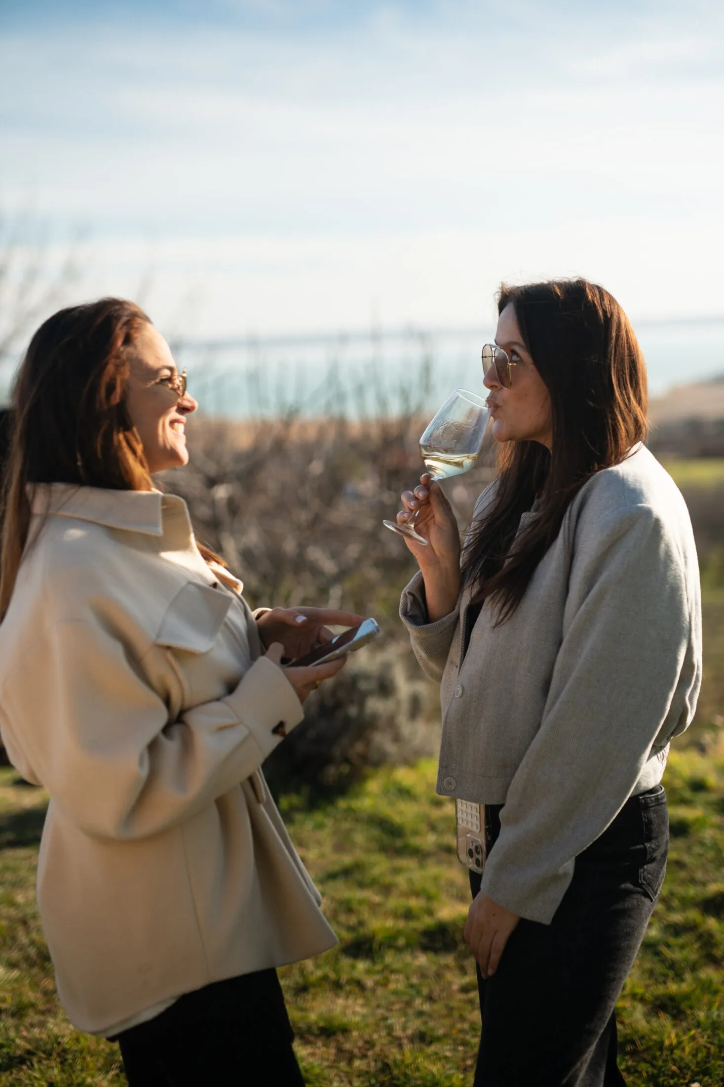 taste balaton bor