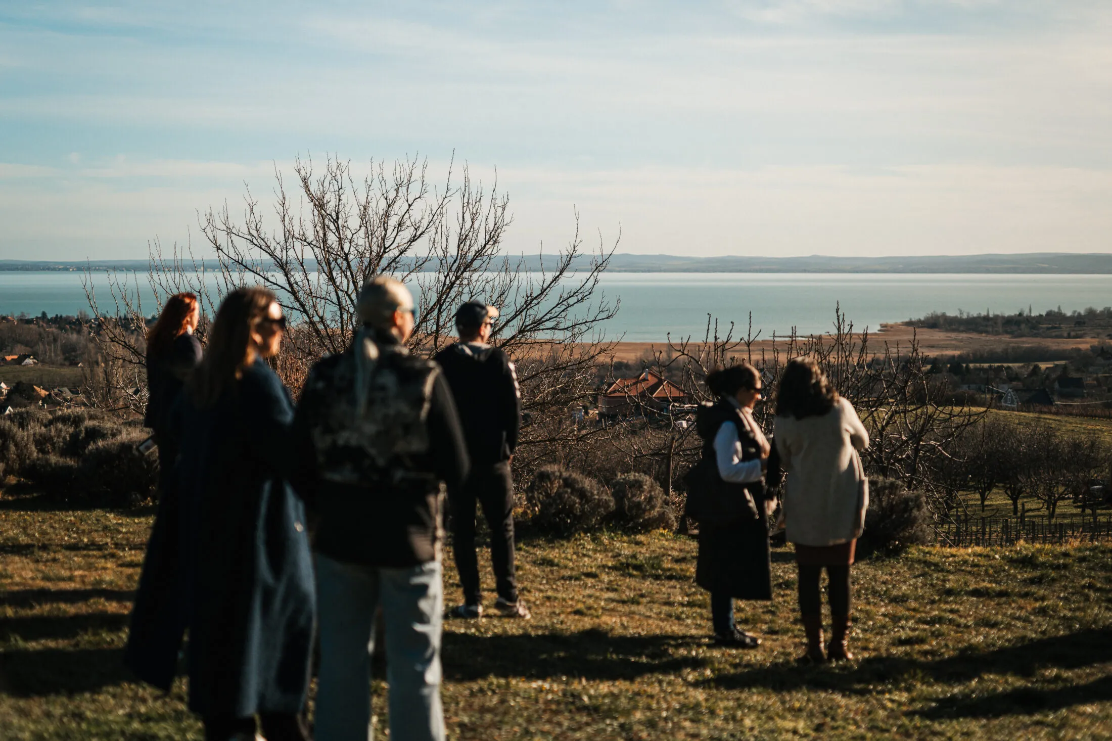 taste balaton kilátás