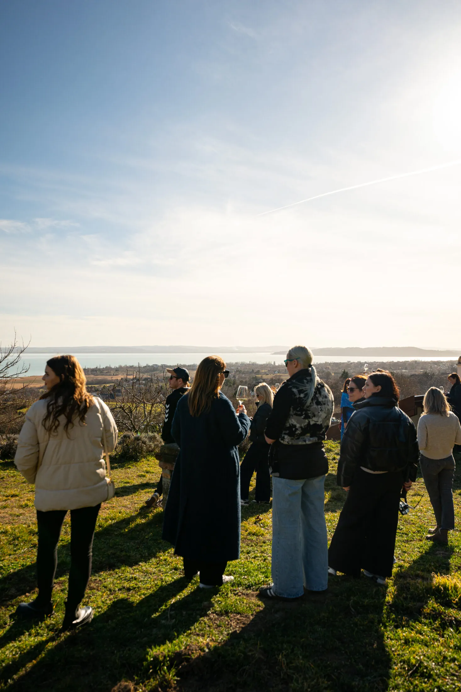 Taste Balaton Petrányi pince