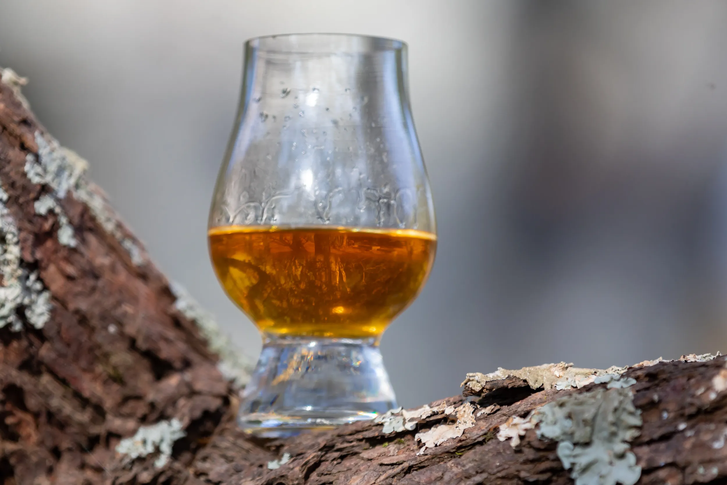 traditional-single-malt-scotch-whiskey-glencairn-glass-selective-focus
