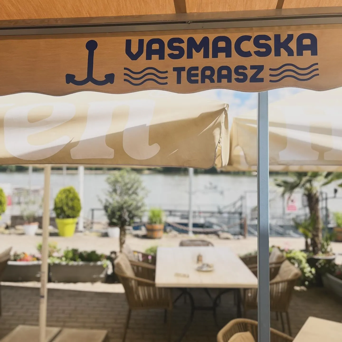 vasmacska-terasz